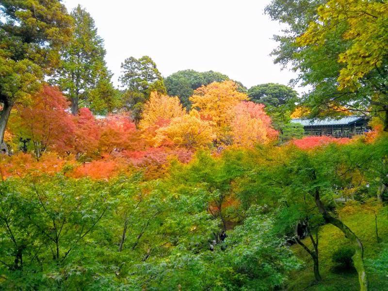 東福寺 臥雲橋から３