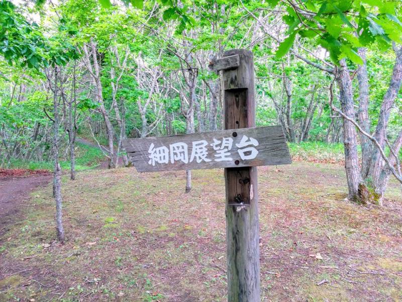 展望広場から細岡展望台1.jpg 展望広場から細岡展望台1