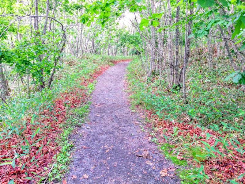 展望広場から細岡展望台2.jpg 展望広場から細岡展望台2