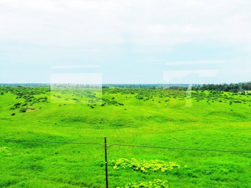 釧路〜根室-厚岸・根室間の湿原9.jpg 釧路 根室 厚岸 根室間の湿原9