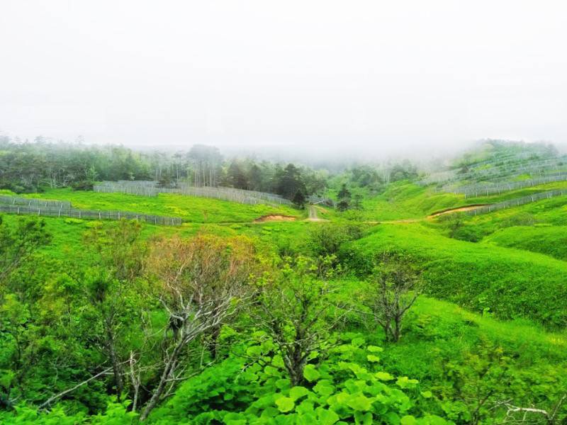釧路〜根室-厚岸・根室間の湿原6.jpg 釧路 根室 厚岸 根室間の湿原6
