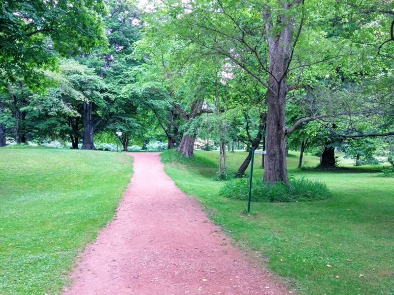北海道大学植物園-北ローン歩道.jpg 北海道大学植物園 北ローン歩道