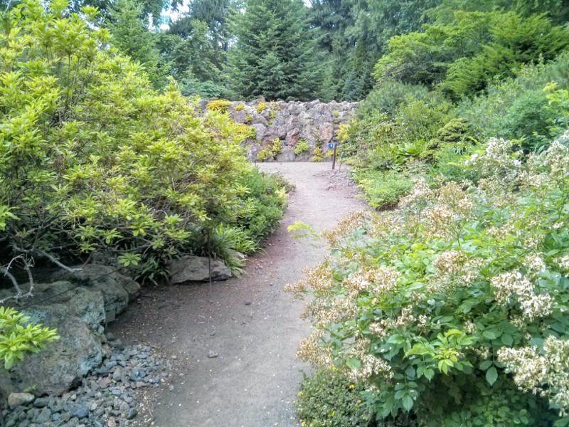 北海道大学植物園 カナディアンロックガーデン７