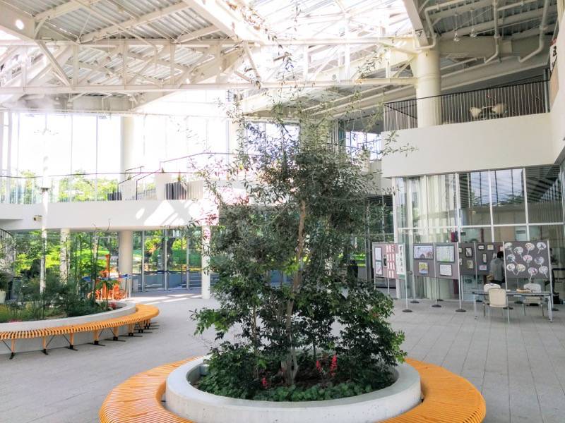 五稜郭タワー-1階ホール.jpg 五稜郭タワー 1階ホール