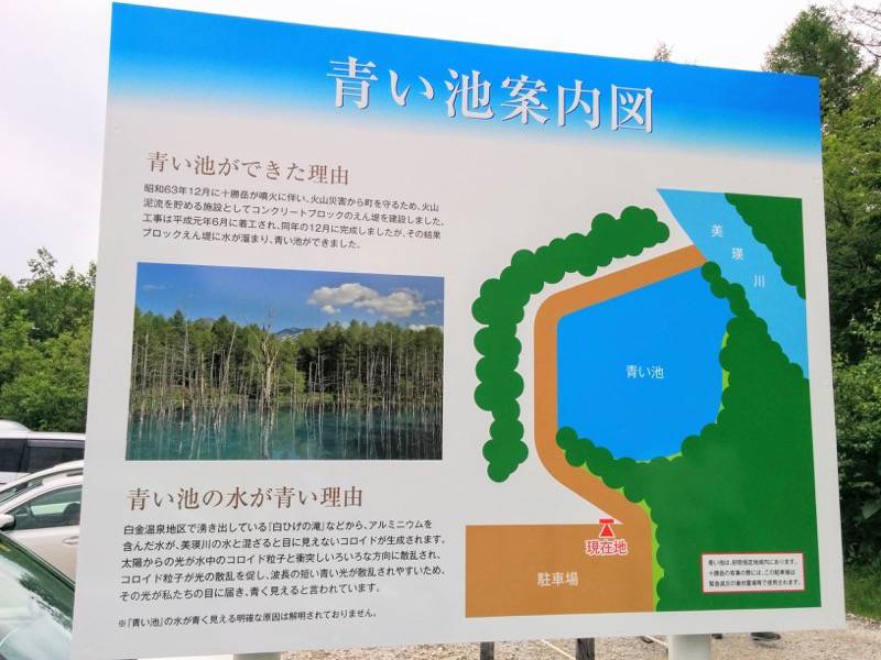 美瑛 青い池案内図