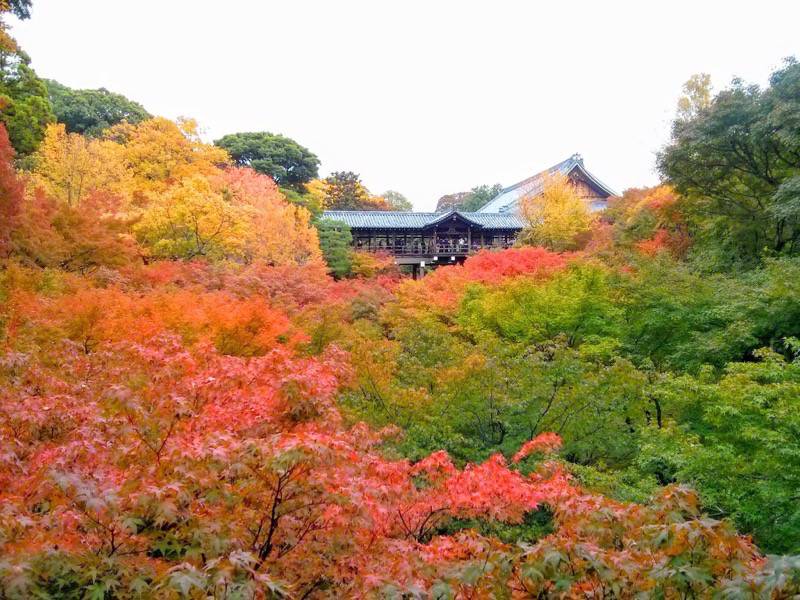 東福寺 臥雲橋から２