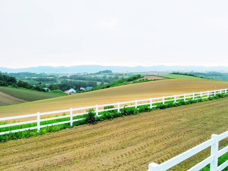 美瑛 新栄の丘６