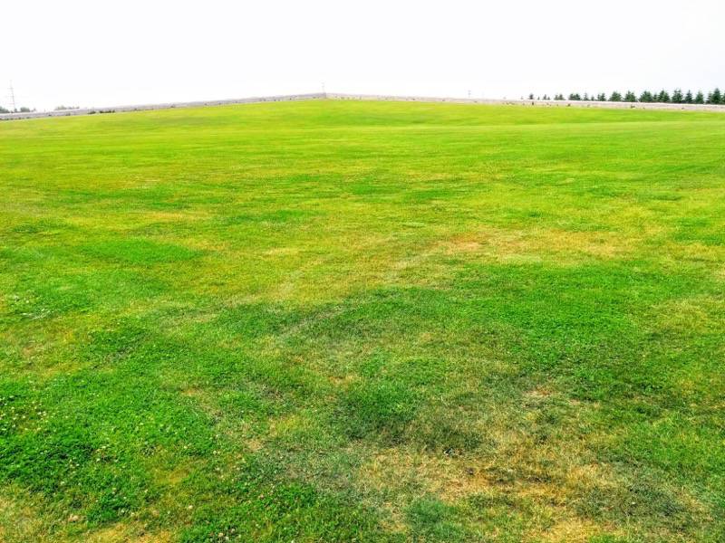 モエレ沼公園-野外ステージ1.jpg モエレ沼公園 野外ステージ1