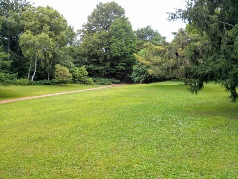 北海道大学植物園-南ローン.jpg 北海道大学植物園 南ローン
