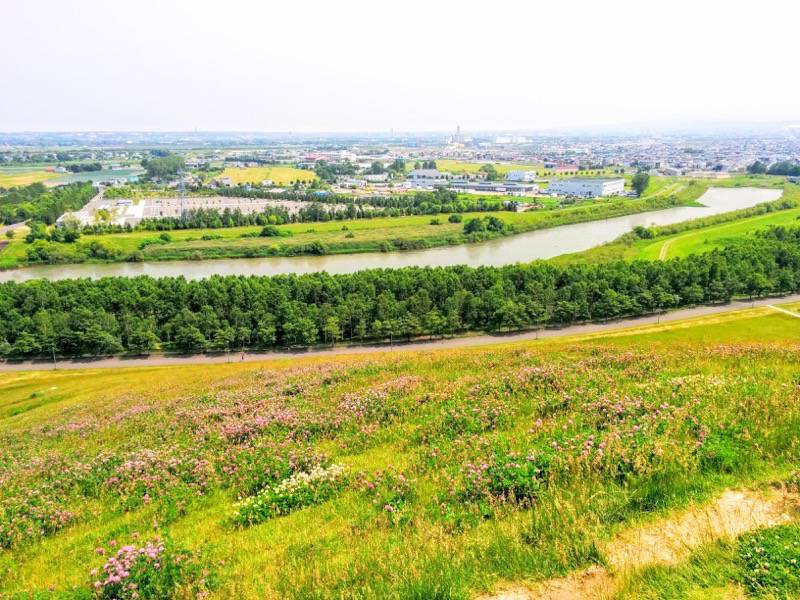 モエレ沼公園-モエレ山6.jpg モエレ沼公園 モエレ山6