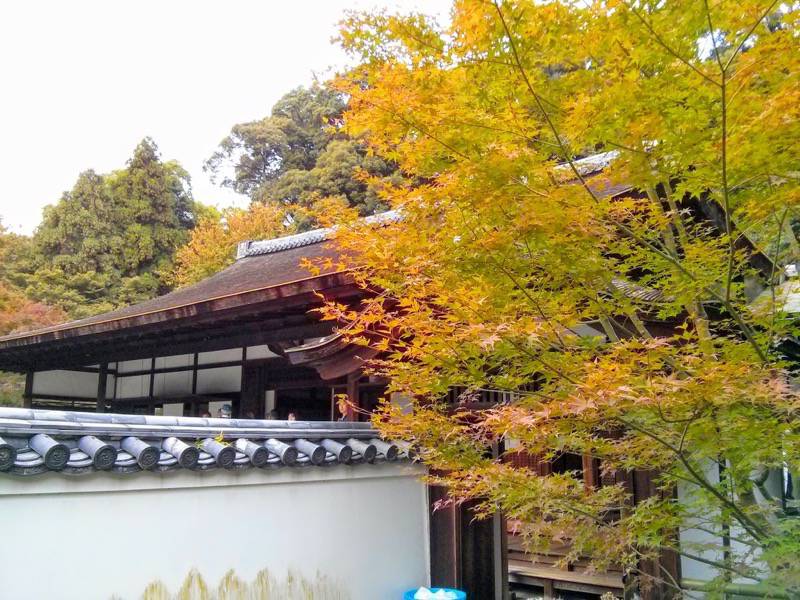 東福寺 龍吟庵方丈と紅葉