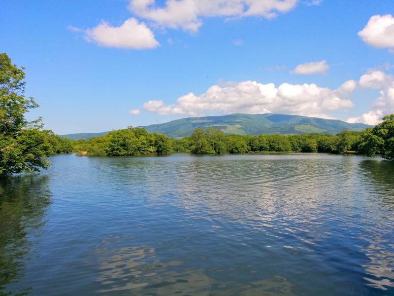 大沼公園-島巡りの路-アイヌ島より1.jpg 大沼公園 島巡りの路 アイヌ島より1