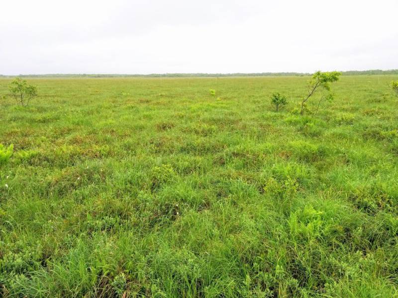 温根内木道8−2.jpg 温根内木道8−2