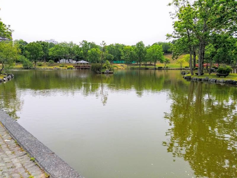 鶴ケ岱公園 ひょうたんの池１