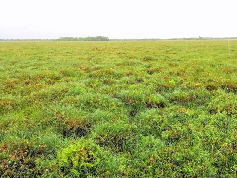 温根内木道7−9.jpg 温根内木道7−9