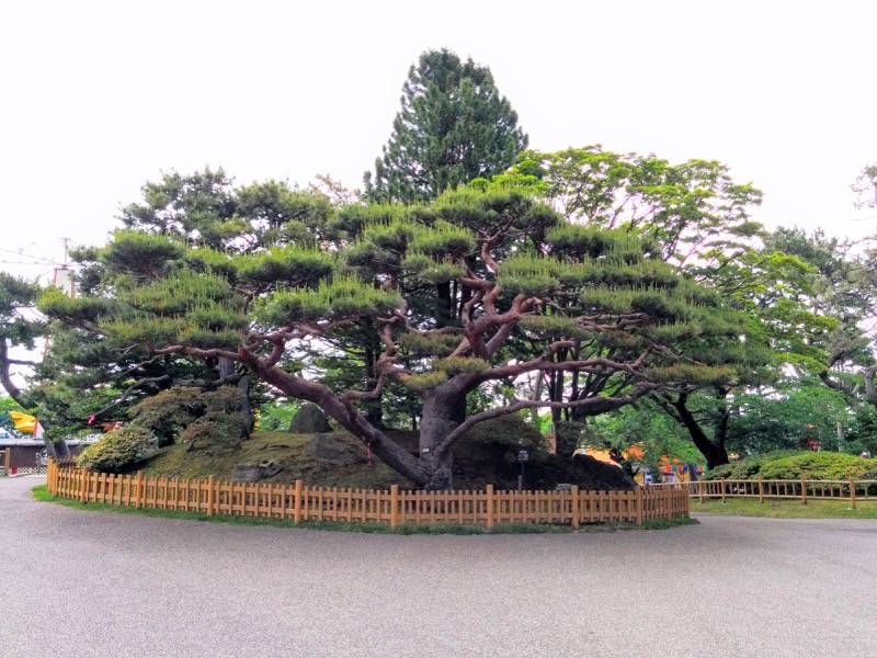 函館公園 鶴亀の水飲場