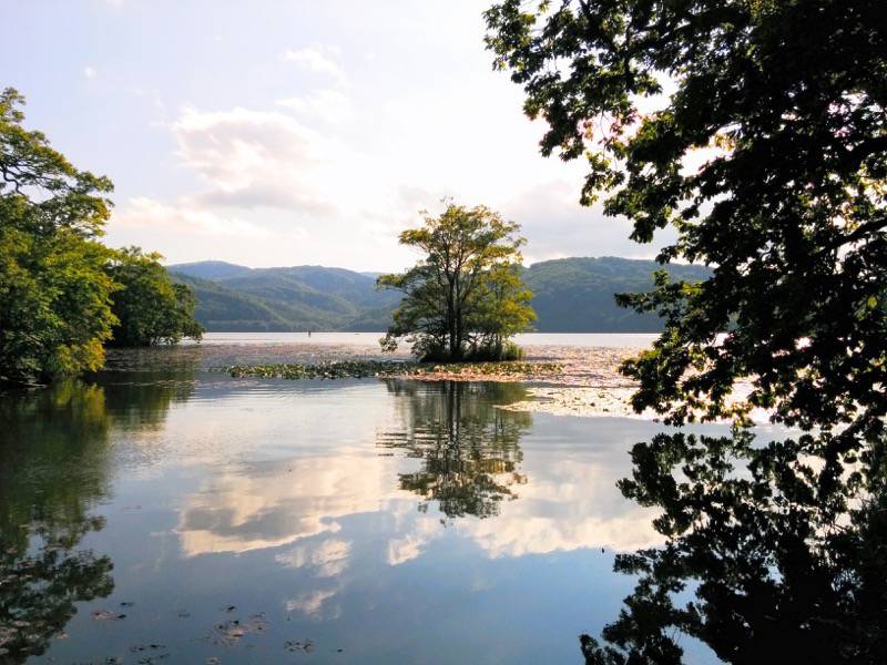 大沼公園-夕日の道2.jpg 大沼公園 夕日の道2