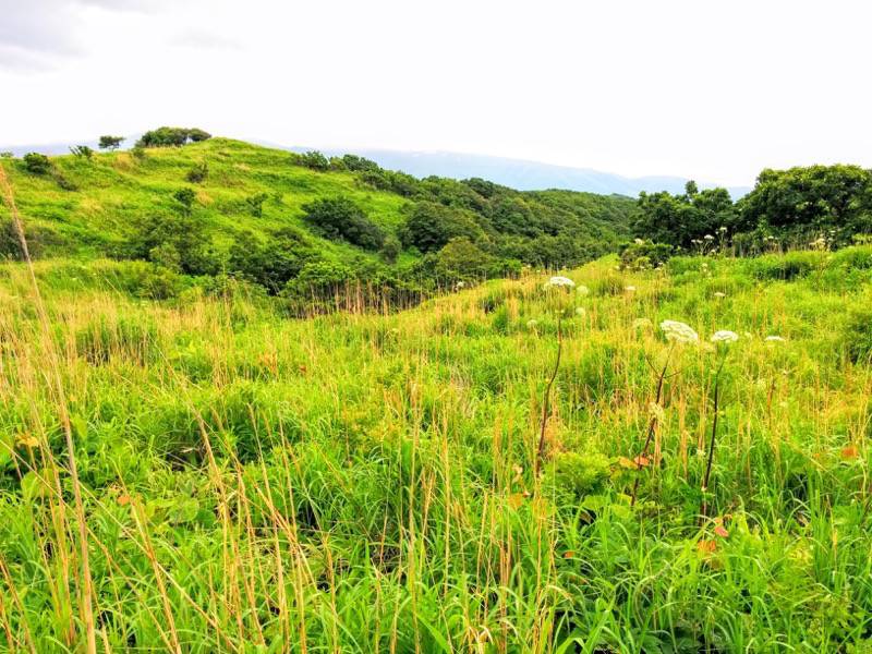 積丹岬 自然遊歩道１２