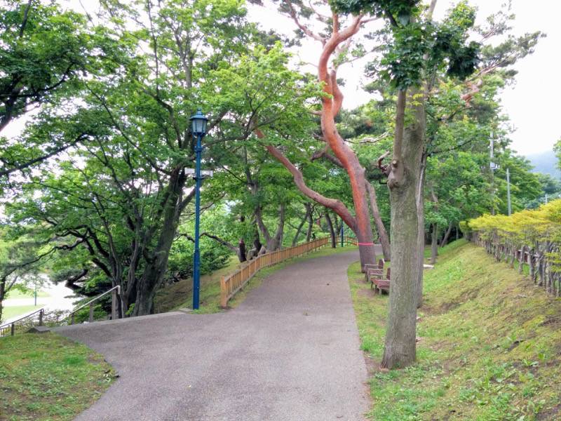 函館公園 園内歩道１