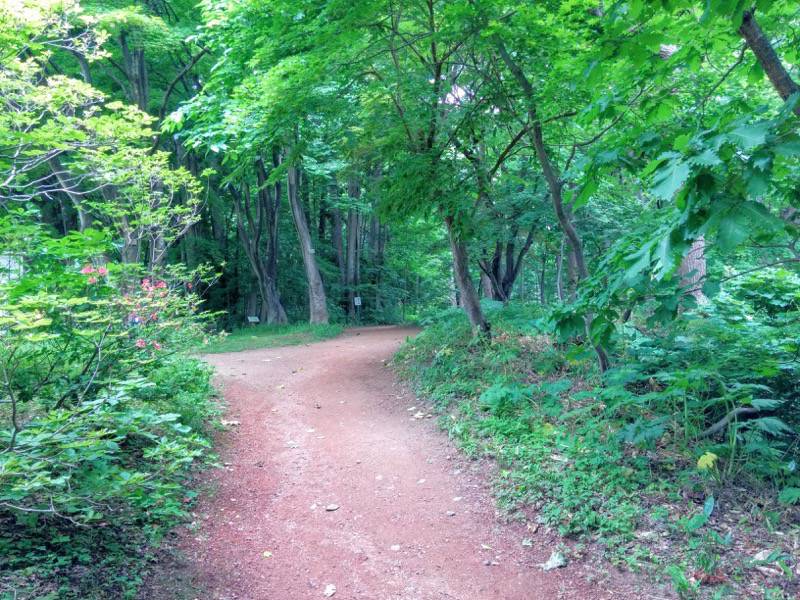 北海道大学植物園-宮部金吾記念館〜灌木園間5.jpg 北海道大学植物園 宮部金吾記念館 灌木園間5