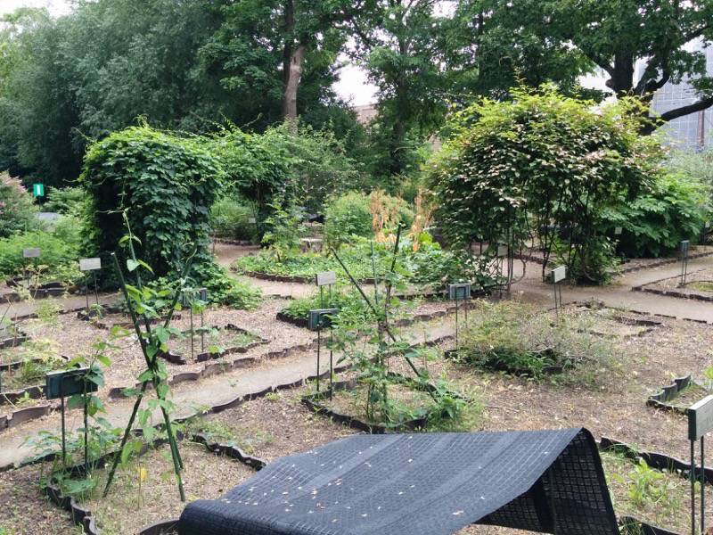 北海道大学植物園-北方民族植物標本園4.jpg 北海道大学植物園 北方民族植物標本園4