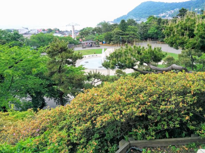 函館公園-公園よりの眺め.jpg 函館公園 公園よりの眺め
