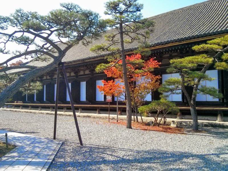 蓮華王院-三十三間堂6.jpg 蓮華王院 三十三間堂6