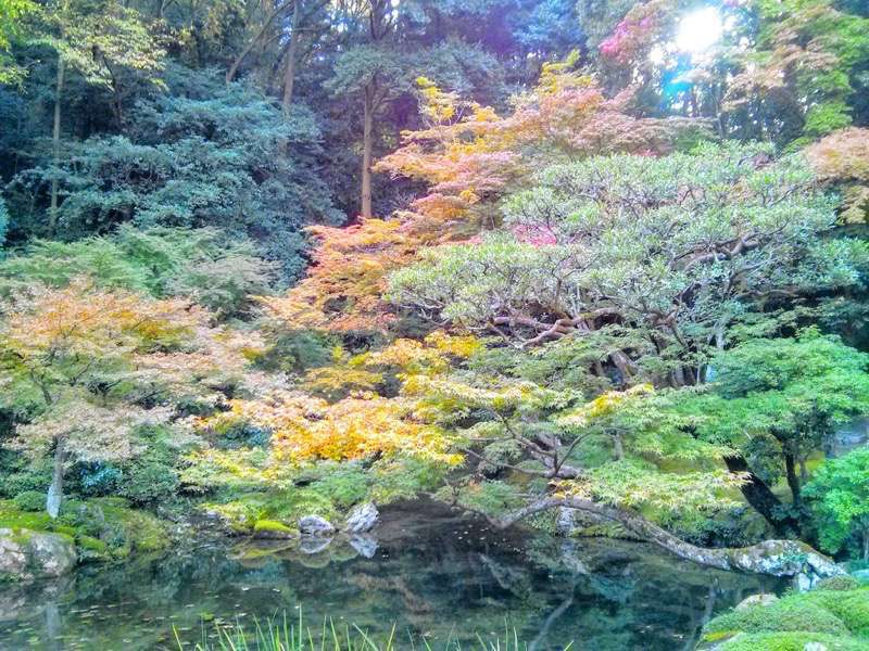 南禅寺 南禅院庭園３