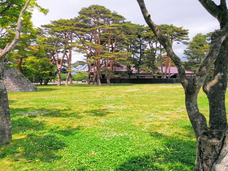 五稜郭公園-敷地内1.jpg 五稜郭公園 敷地内1