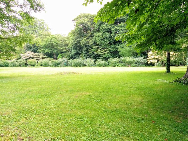 北海道大学植物園-北ローンライラック並木より.jpg 北海道大学植物園 北ローンライラック並木より