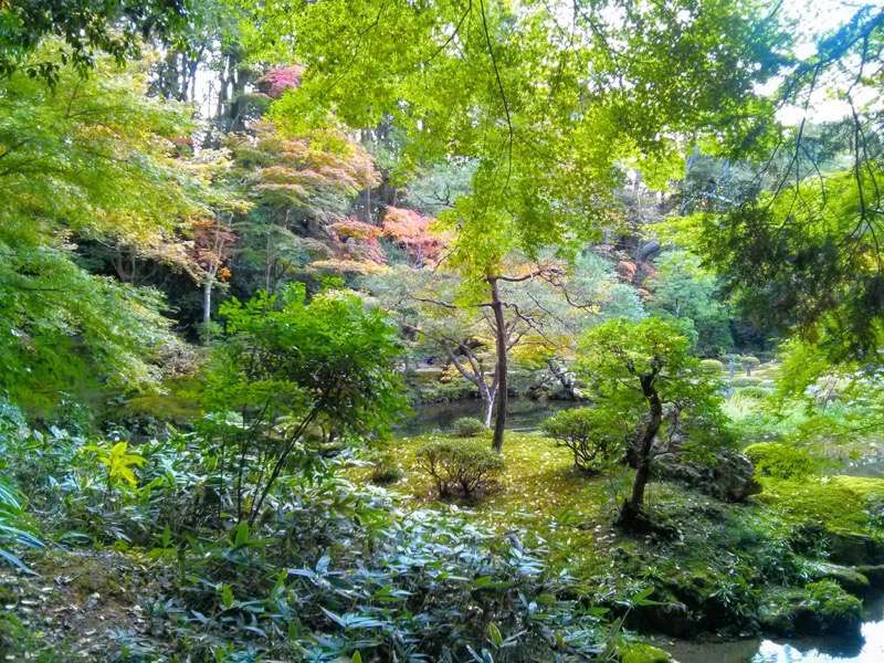 南禅寺 南禅院庭園６