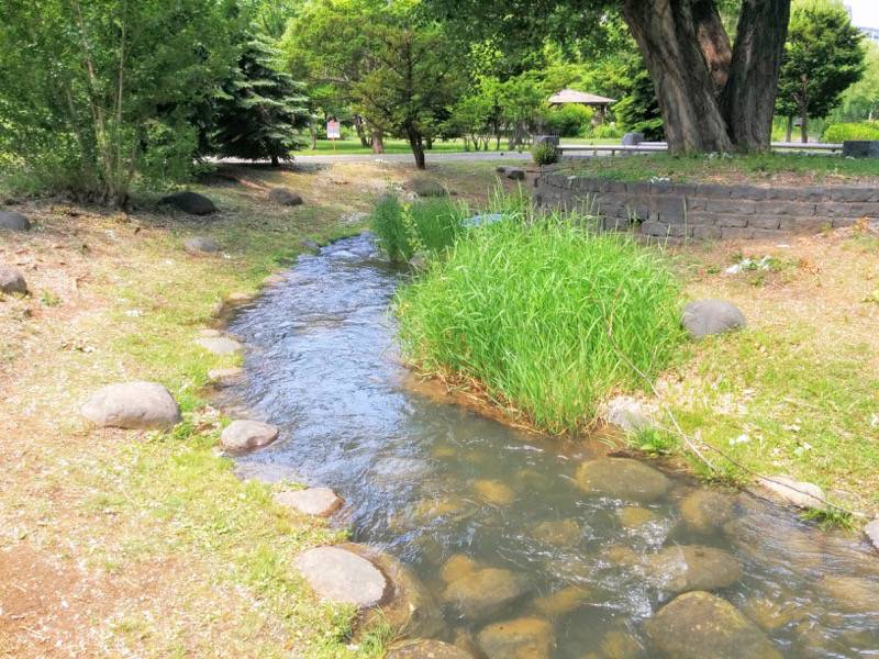 中島公園 園内風景１７