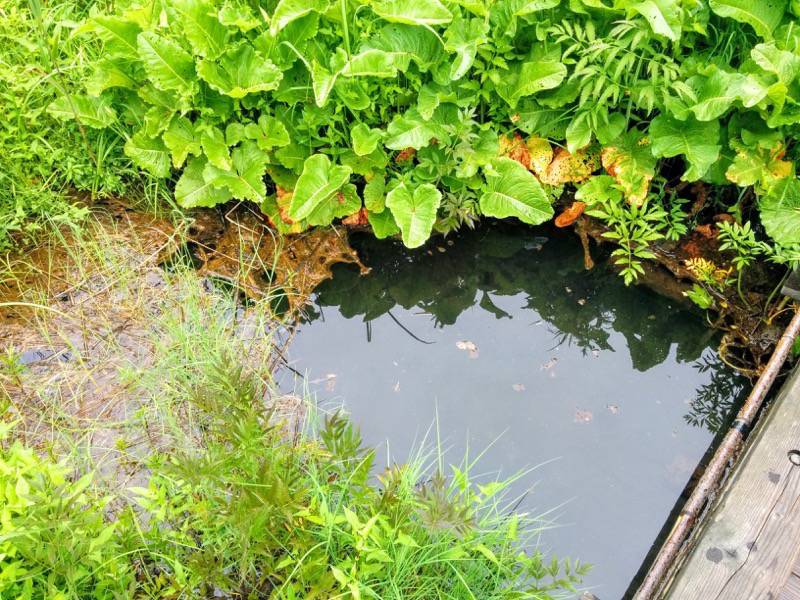 温根内木道0−3.jpg 温根内木道0−3