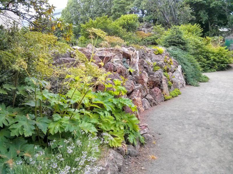 北海道大学植物園 カナディアンロックガーデン４
