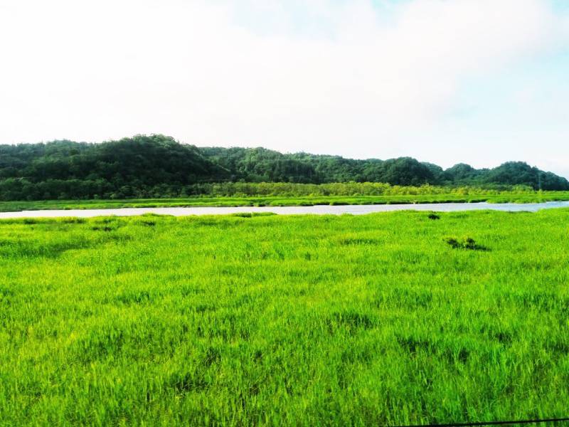 釧路〜根室-厚岸湖7.jpg 釧路 根室 厚岸湖7