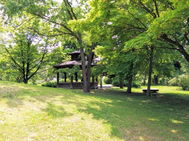 中島公園 園内風景１１