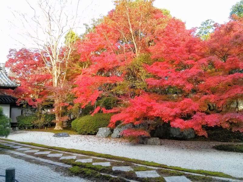 南禅寺 天授庵本堂前庭３