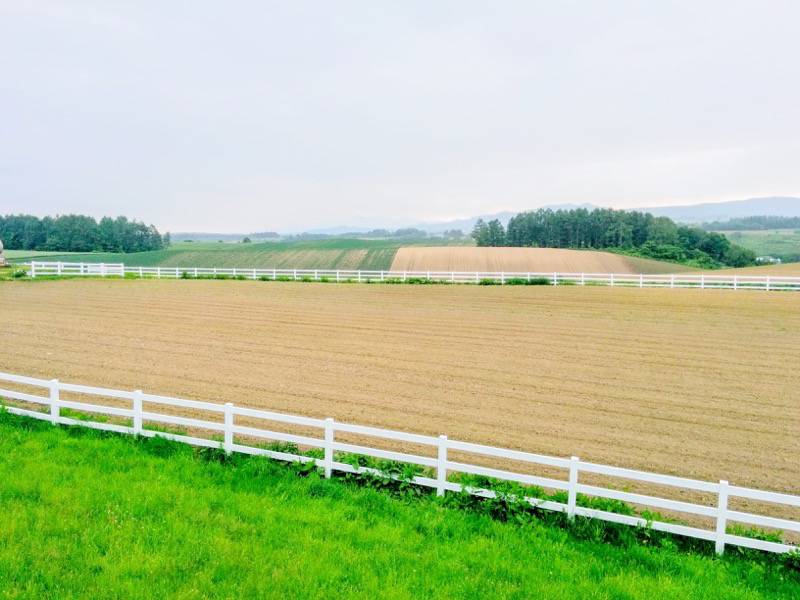 美瑛 新栄の丘３