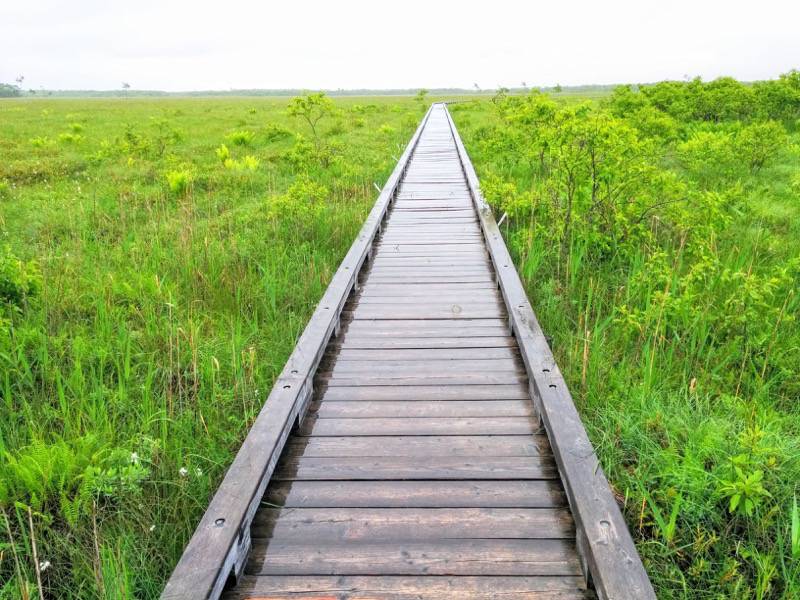 温根内木道7−6.jpg 温根内木道7−6