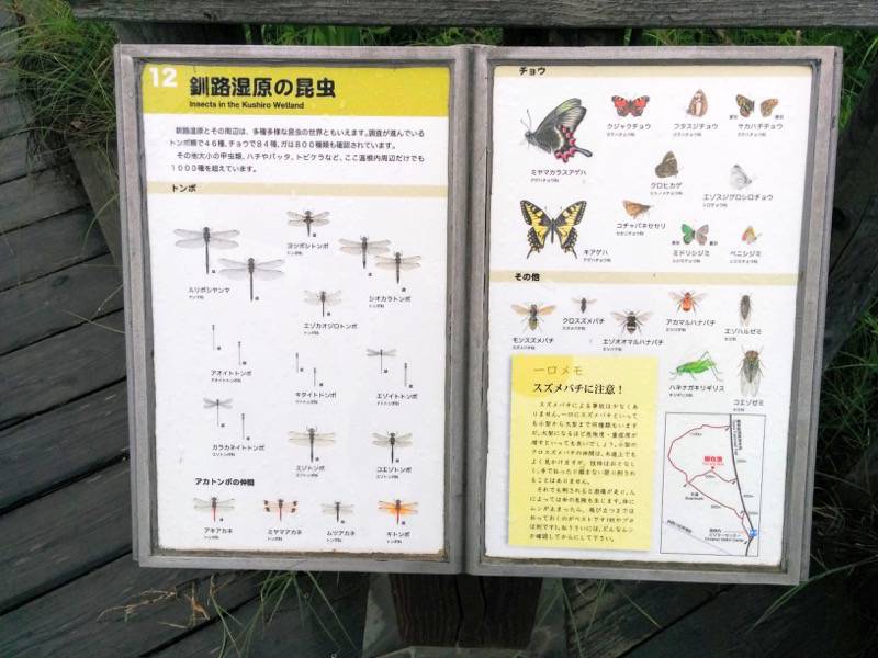 温根内木道12.jpg 温根内木道12