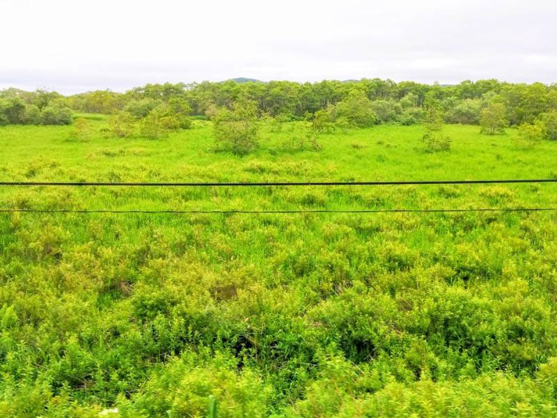 細岡駅・釧路湿原駅間.jpg 細岡駅 釧路湿原駅間