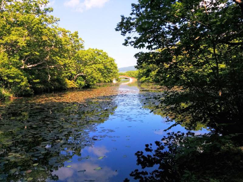 大沼公園-島巡りの路-湖畔に沿って歩こうの道4.jpg 大沼公園 島巡りの路 湖畔に沿って歩こうの道4