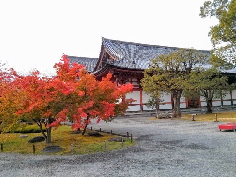 東寺 講堂付近の紅葉