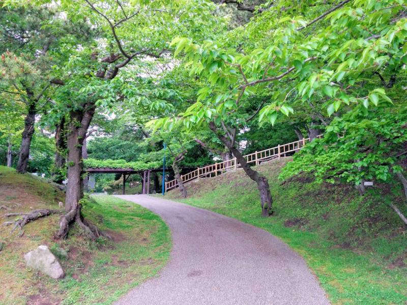 函館公園 園内歩道４