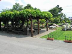 男山酒造で資料館見学【試飲あり】｜北海道旭川市