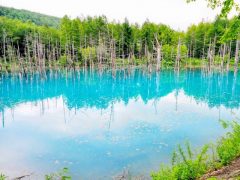 青い池と白ひげの滝｜北海道美瑛町