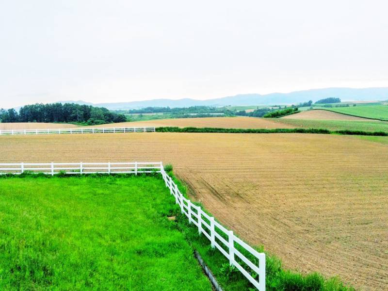 美瑛 新栄の丘１０