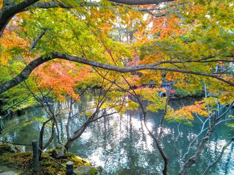 南禅寺 天授庵書院南庭１