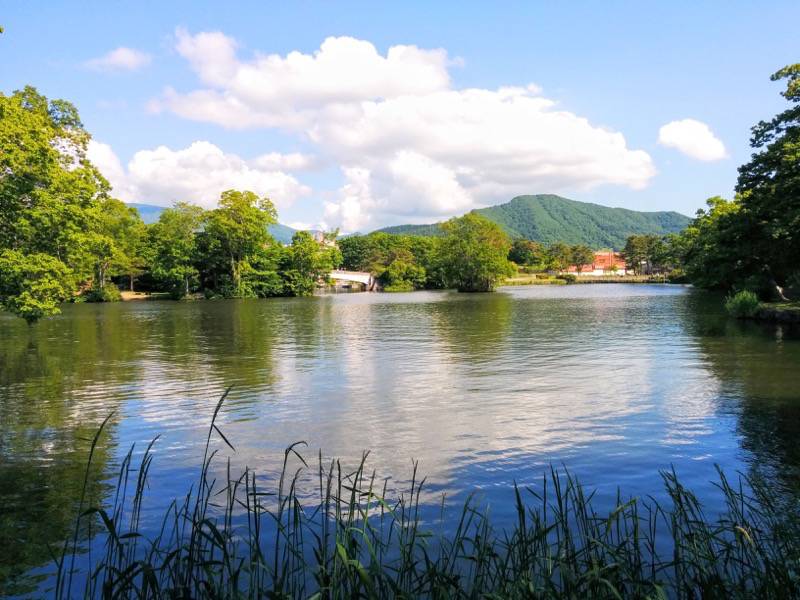 大沼公園-島巡りの路-後楽橋から公魚橋までより5.jpg 大沼公園 島巡りの路 後楽橋から公魚橋までより5
