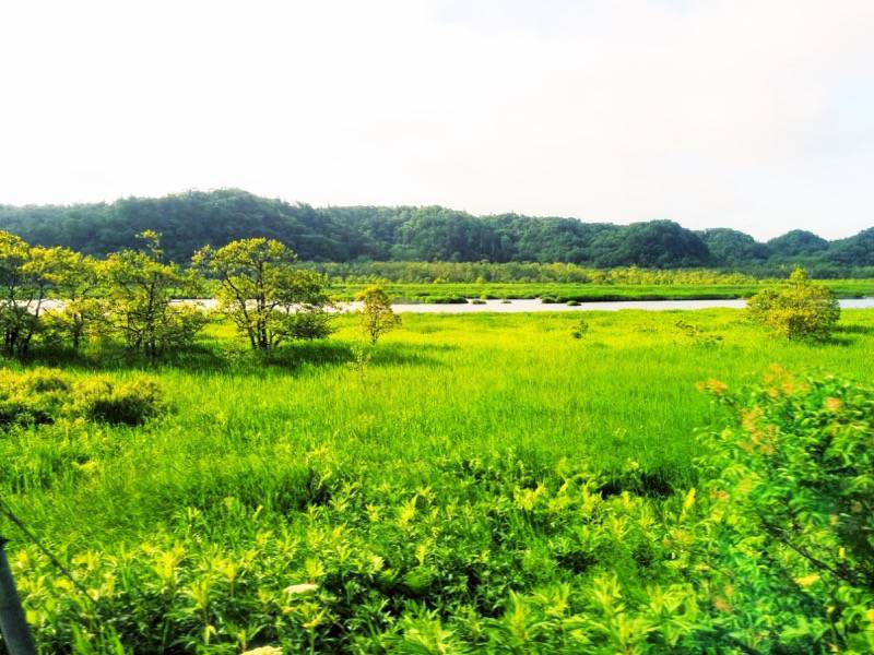 釧路〜根室-厚岸湖6.jpg 釧路 根室 厚岸湖6